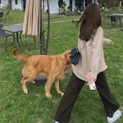史酷比与美食家幽灵 海报